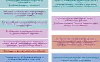 Прародитель ноотропов Пирацетам на службе у мозга и ЦНС
