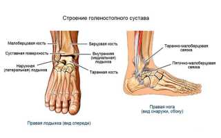Что такое щиколотка и что делать при болях в ней