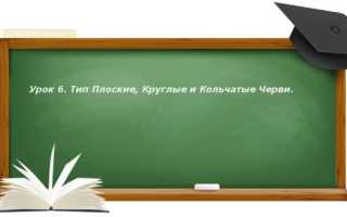 Незамкнутая кровеносная система имеется у а аскариды