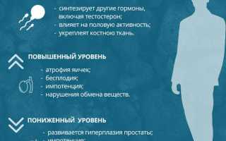 Прогестерон у мужчин: норма, отклонения и способы понижения уровня гормона