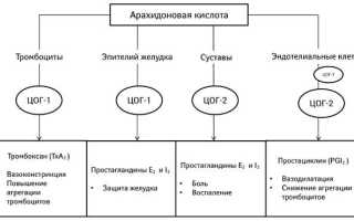 Что такое стероидный противовоспалительный препарат и его применение