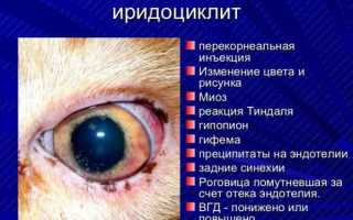 Иридоциклит острый – что это и чем лечить в офтальмологии, мкб-10