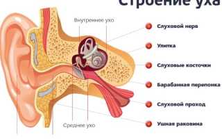 Отипакс. Инструкция по применению для детей. Ушные капли при отите, боли в ухе, перелете. Дозировка