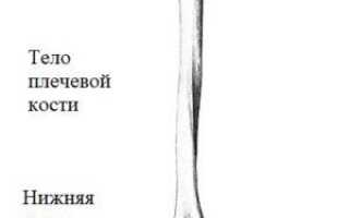Перелом надмыщелка плечевой кости: причины и лечение