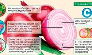Можно есть вареный лук при панкреатите поджелудочной железы