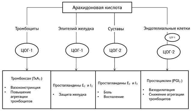Что такое стероидный противовоспалительный препарат