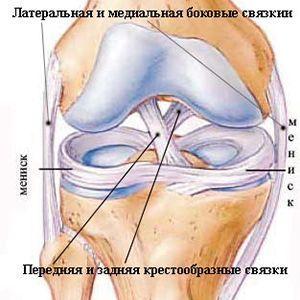 Какие операции проводят на мениске