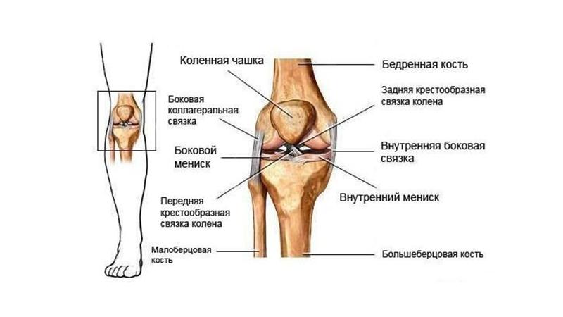 Что делать, если болит колено при сгибании и разгибании