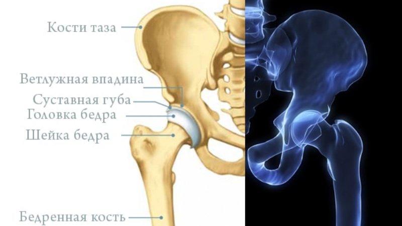 Что делать, когда болят кости таза