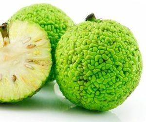 Как применять мазь Маклюра