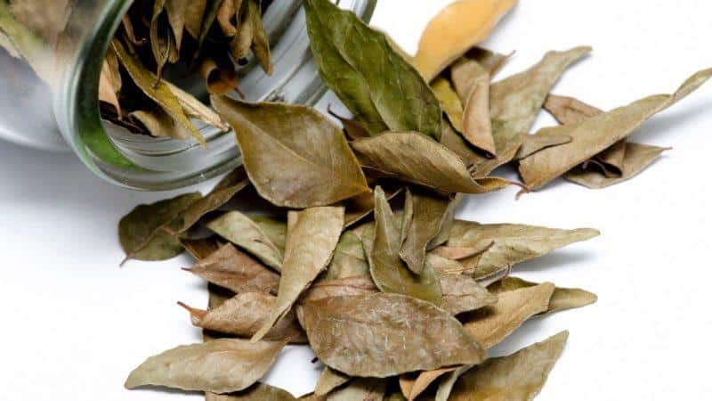 Какие обезболивающие принимать при подагре