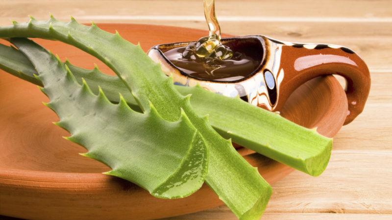 Чем полезен мед для суставов