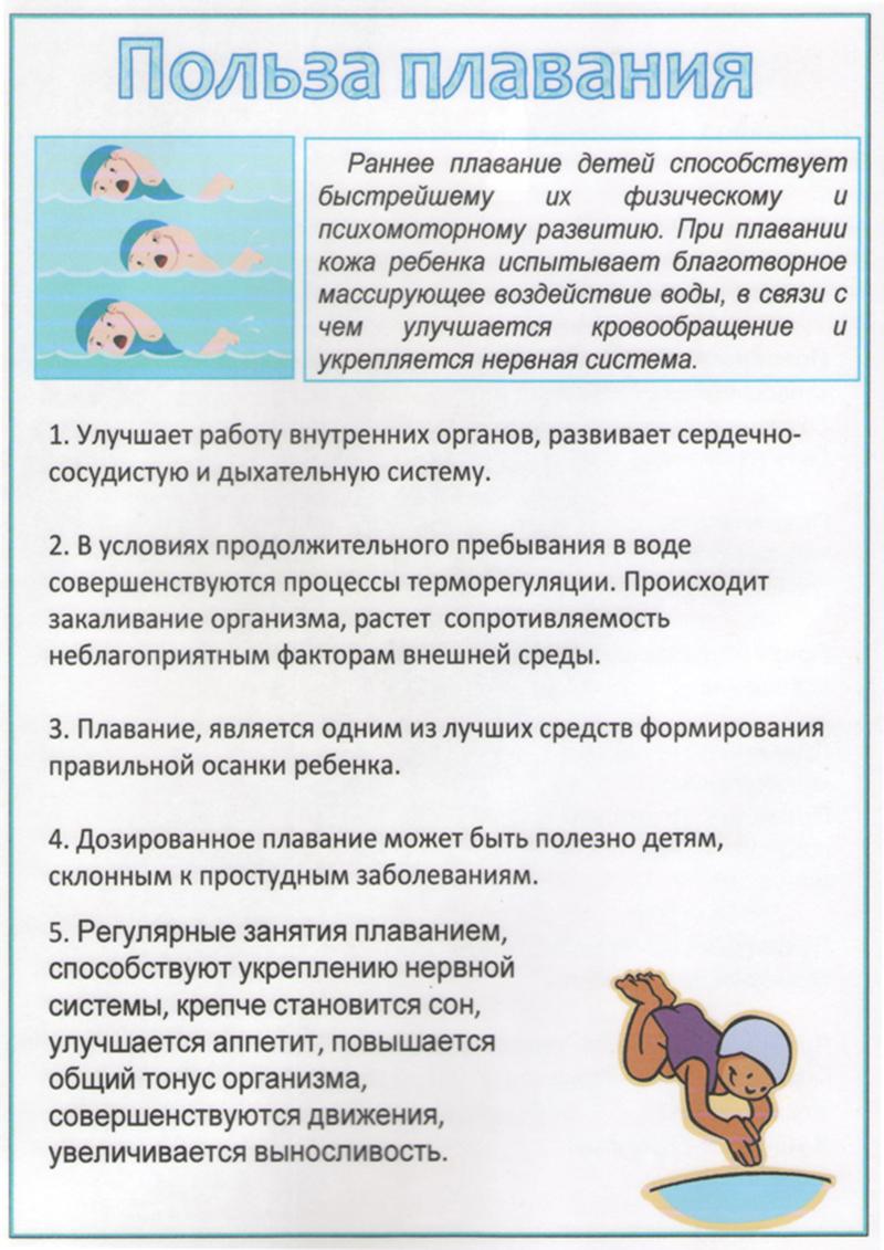 Как правильно плавать в бассейне для позвоночника