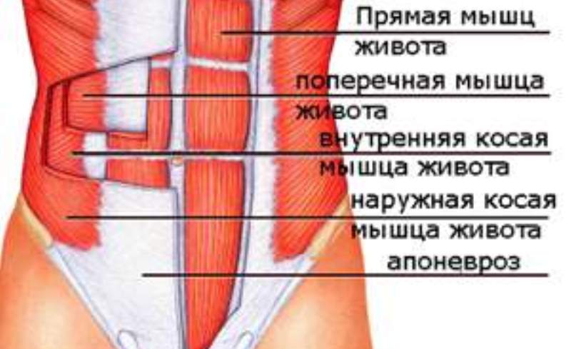 Что такое апоневроз и как его лечить