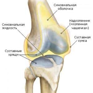 Что такое синовит коленного сустава и как его лечить