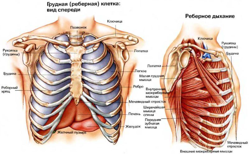 Как лечить воспаление мечевидного отростка грудины