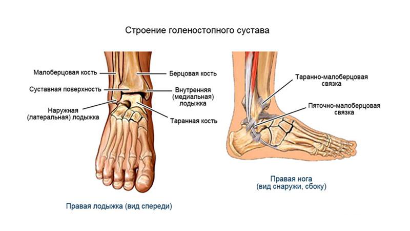 Что делать, если болит голеностопный сустав