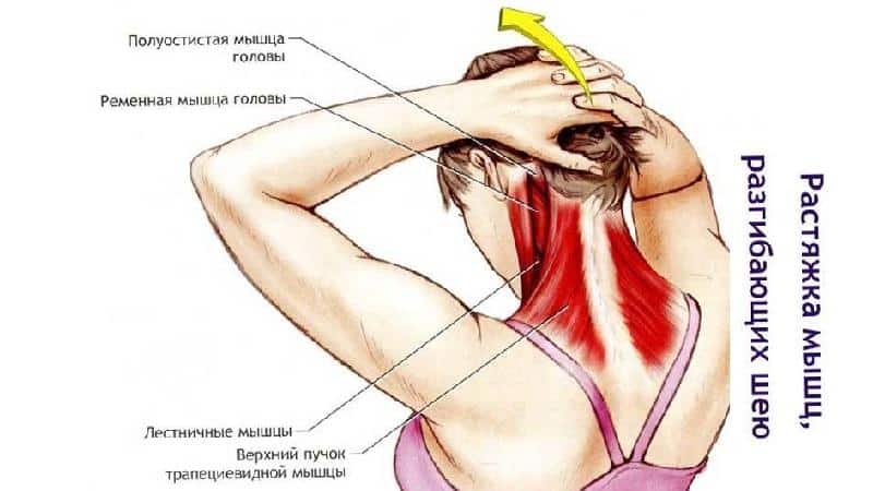 Какие упражнения делать при остеохондрозе шейного отдела