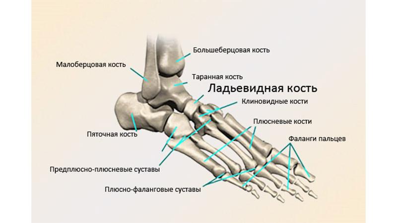 Как лечить остеохондропатию стопы