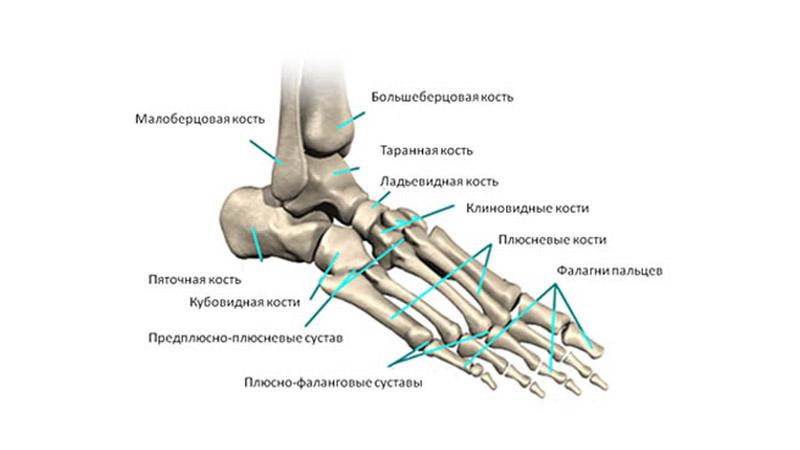 Что делать когда болит пятка и больно наступать