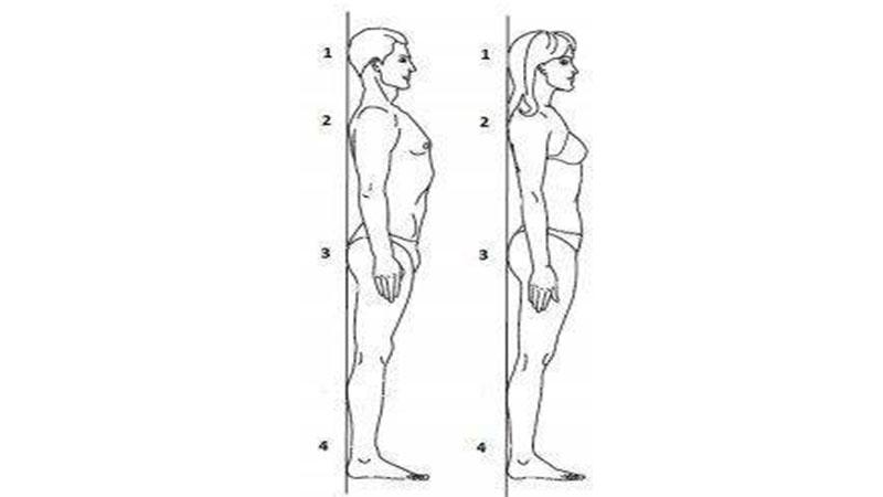 Как исправить осанку