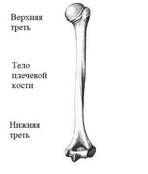 Перелом надмыщелка плечевой кости