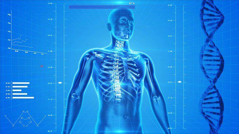 Что показывает рентген грудной клетки