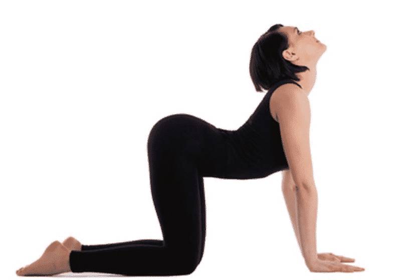 Йога для спины и позвоночника