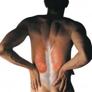 Как применять препарат Мускофлекс