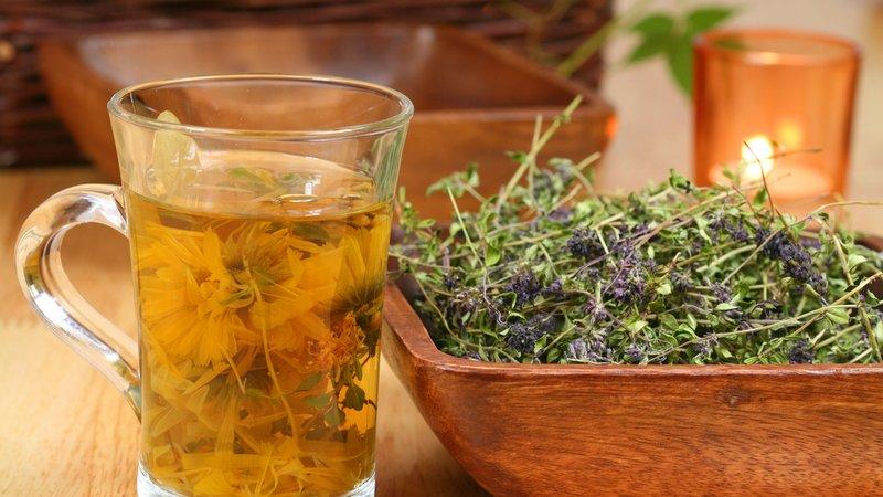 Какие травы имеют противовоспалительный эффект