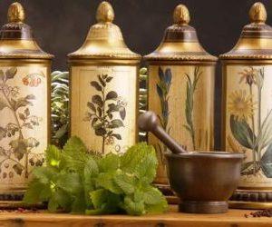 Какие травы лечат суставы