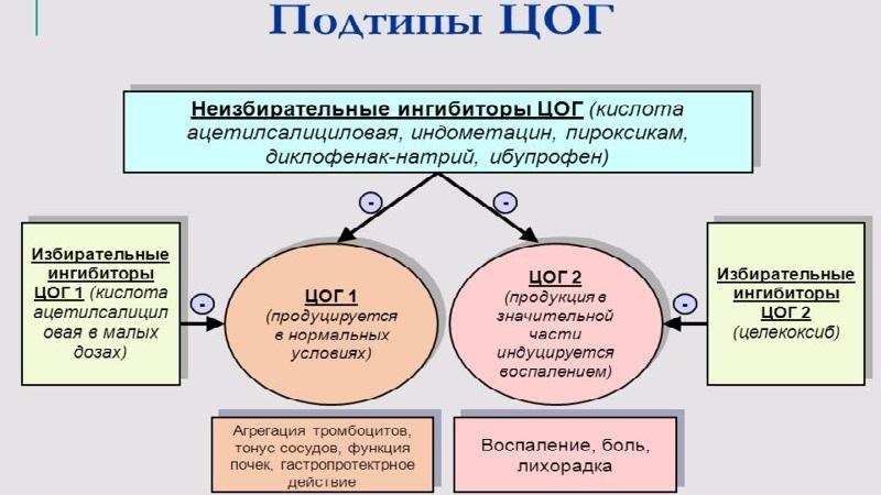 Что такое ингибиторы ЦОГ 1 и ЦОГ 2