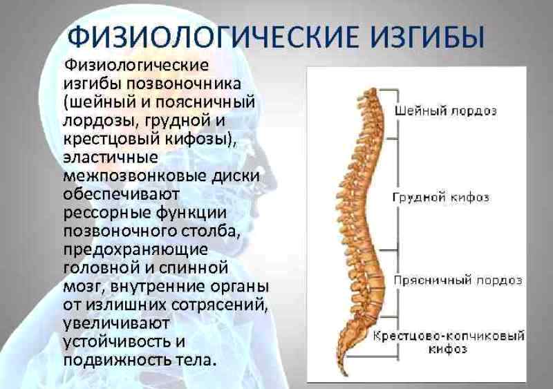 Нарушение статики позвоночника