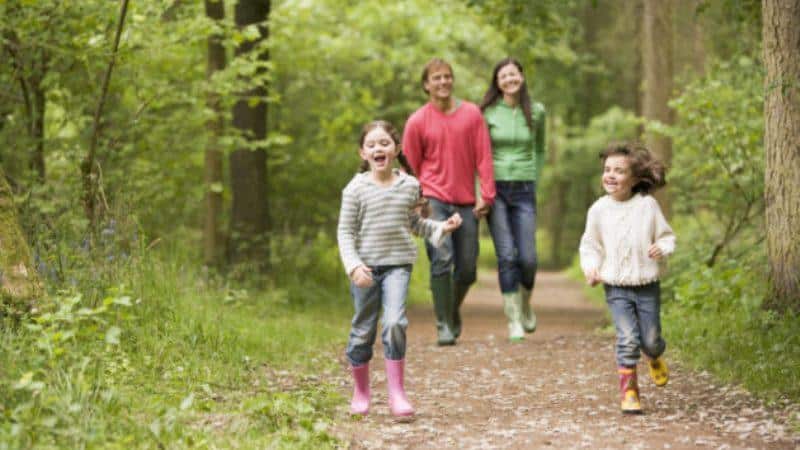 Профилактика