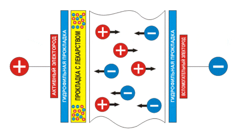 Механизм воздействия