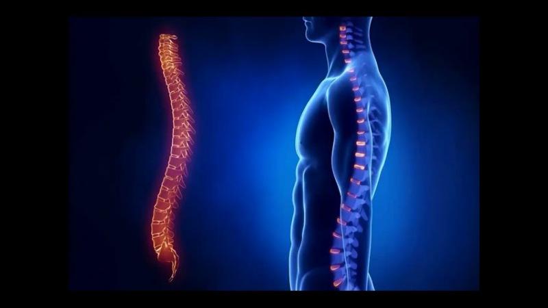 Как лечить деформирующий спондилез поясничного отдела