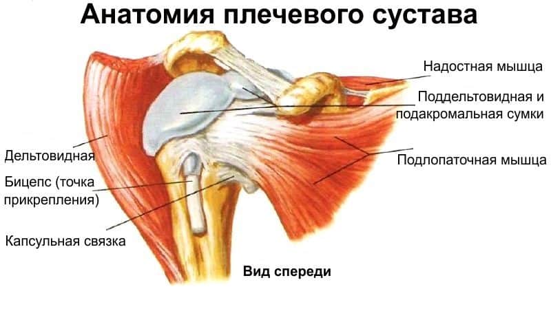Как лечить повреждение сухожилия надостной мышцы плеча