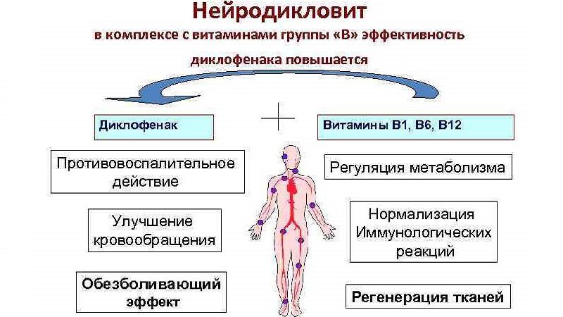 Как применять препарат Нейродикловит
