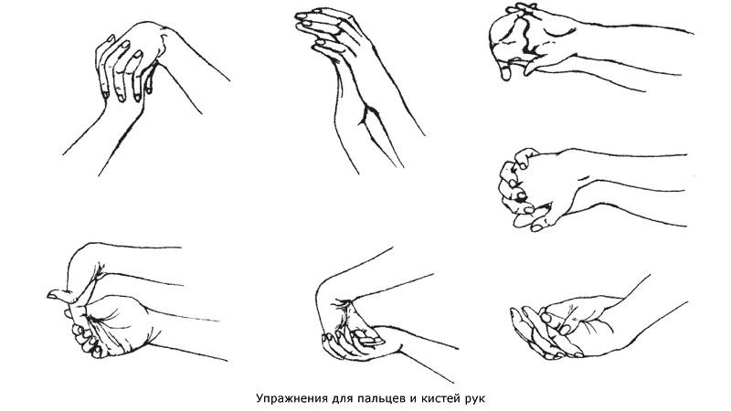 Как укрепить кисти и пальцы рук упражнениями