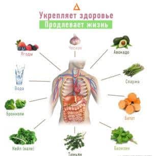 Какие продукты укрепляют кости