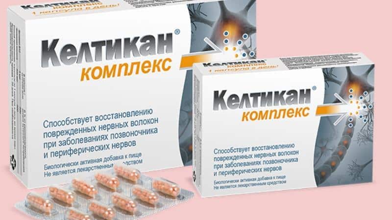 Келтикан