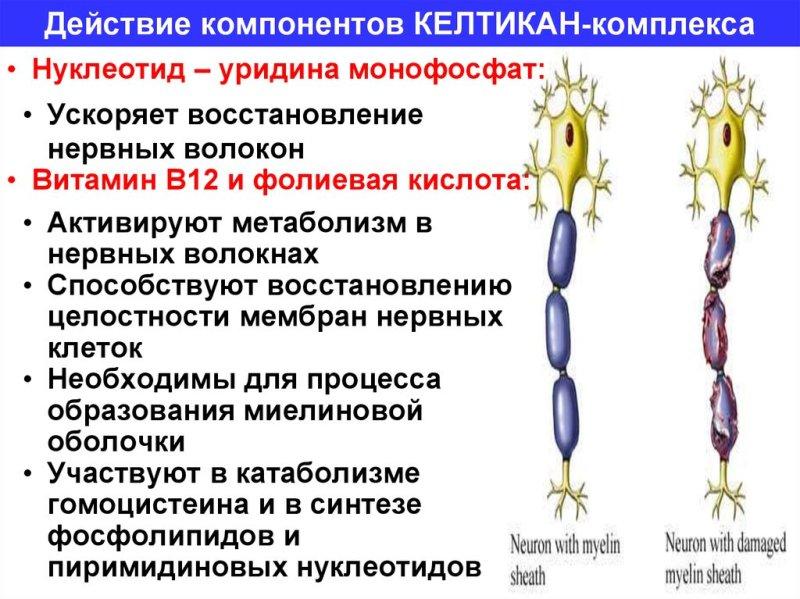 Свойства