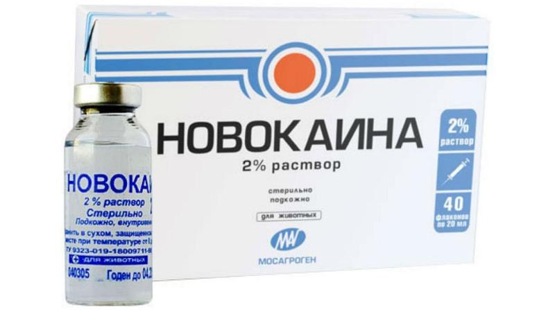 Какие обезболивающие пьют при переломах