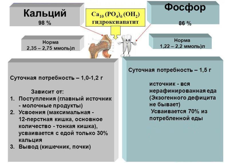 Состав