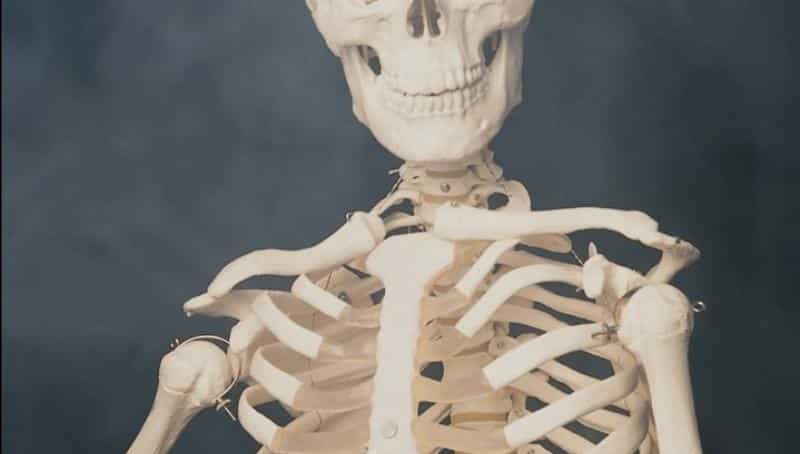 Что нужно есть при переломах костей