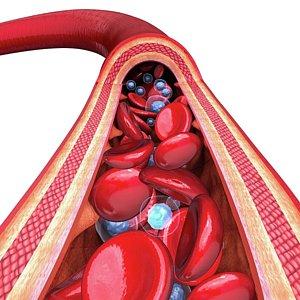 Анатомия костей предплечья