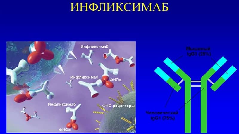В каких препаратах содержится вещество Инфликсимаб