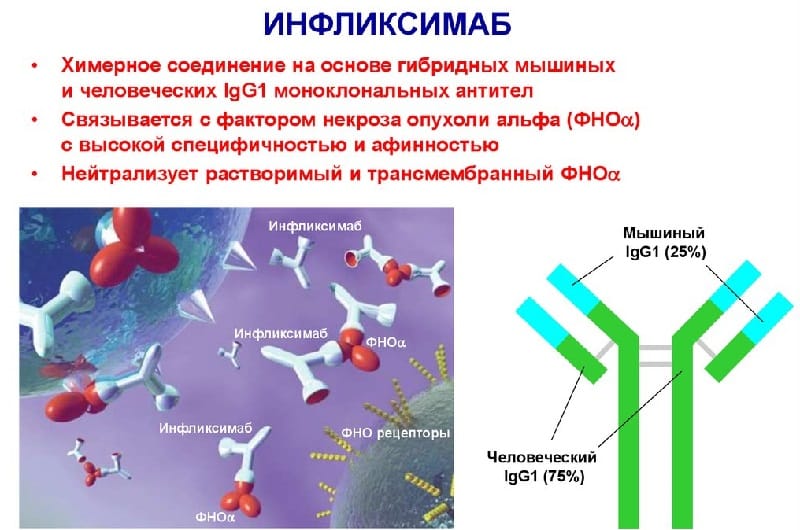 В каких препаратах содержится вещество Инфликсимаб